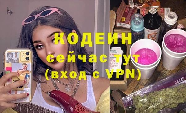 mdpv Вяземский