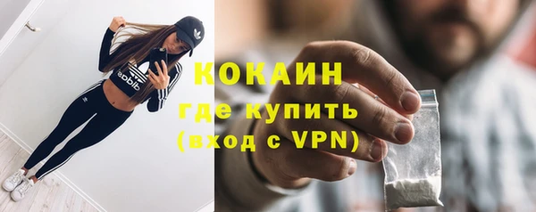 mdpv Вяземский