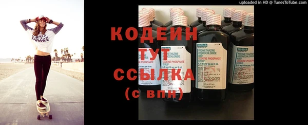 mdpv Вяземский