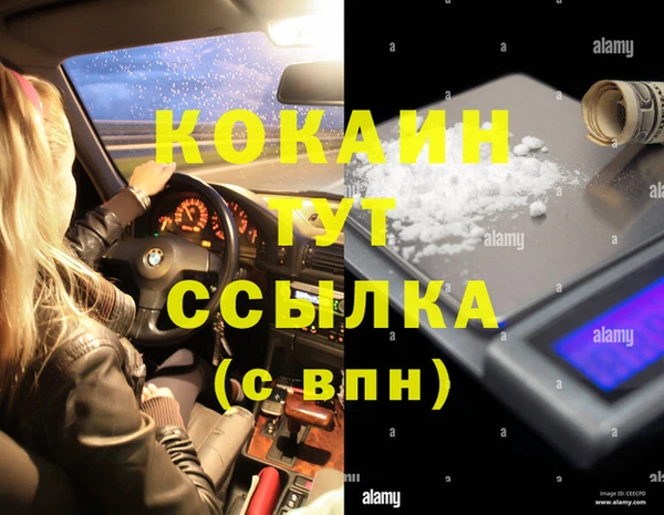 mdpv Вяземский