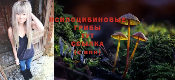 амф Вязники