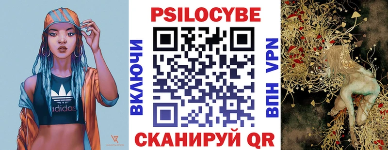 купить наркотики цена  Мценск  Псилоцибиновые грибы Psilocybe 