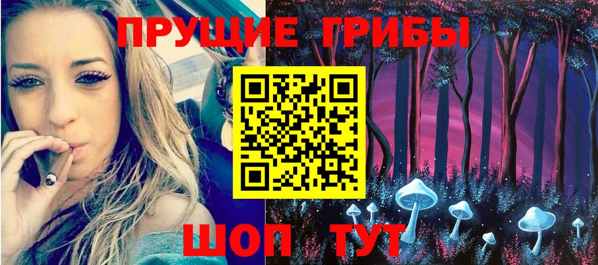 Псилоцибиновые грибы Cubensis  Вход с VPN  Мценск 
